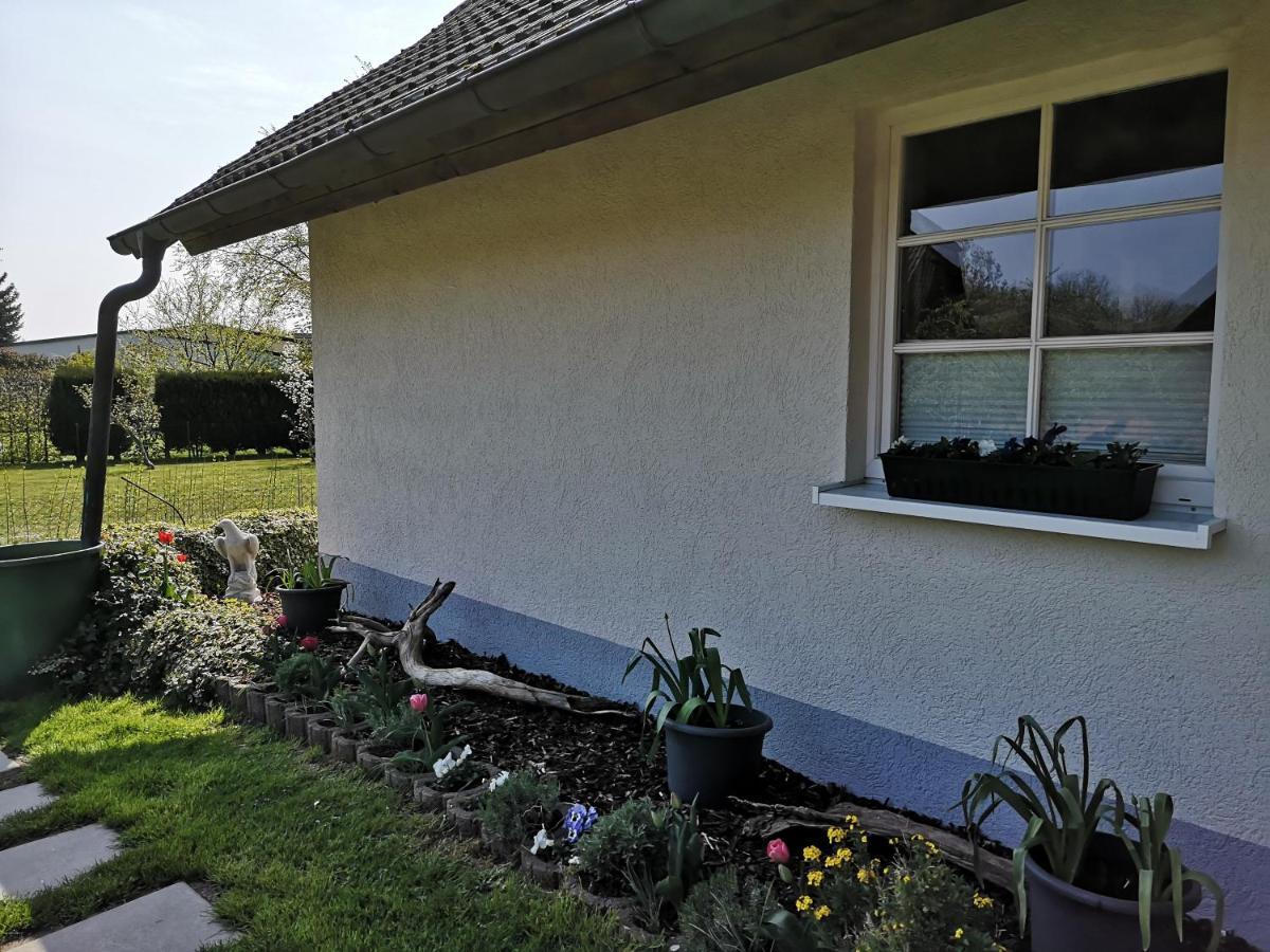 Boddenhus Auf Ruegen - Ferienwohnungen Und Pension Rappin Екстериор снимка
