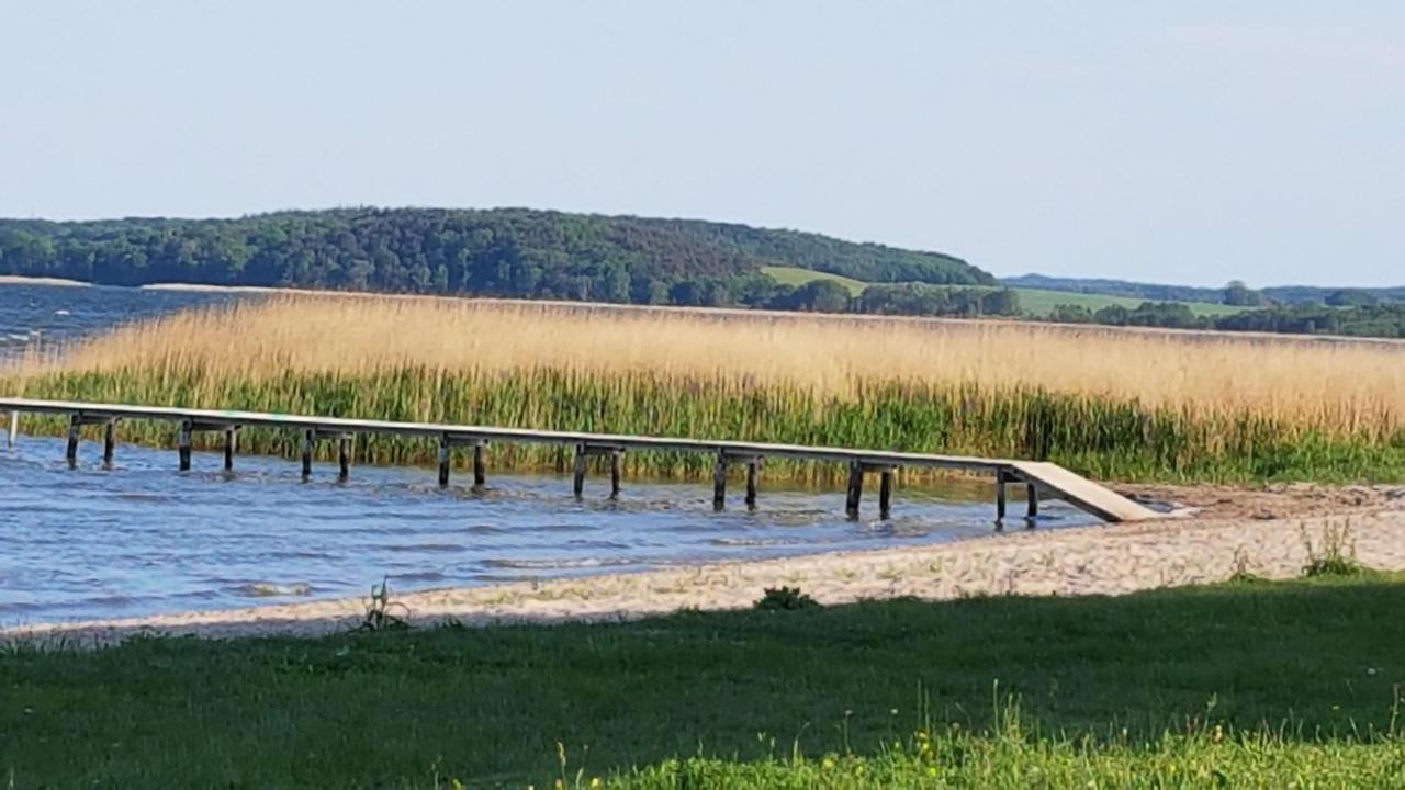 Boddenhus Auf Ruegen - Ferienwohnungen Und Pension Rappin Екстериор снимка